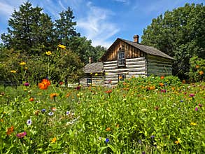 Summer Log Cabin, Woods, Flowers