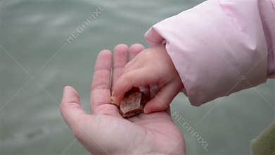 Girl throw stones into the sea