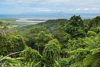Daintree National Park