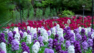 Vancouver Island Butchart Gardens Canada Victoria field of wildflowers and other wild flowers