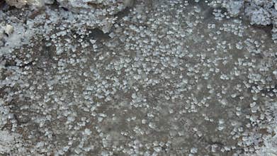 Close-up of salt crystal formations in natural saline waters
