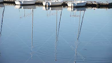Boats and coots