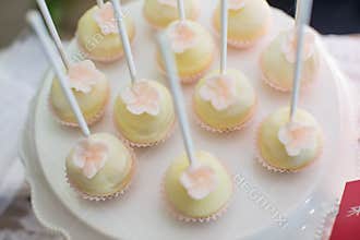 Cake pops and cupcakes