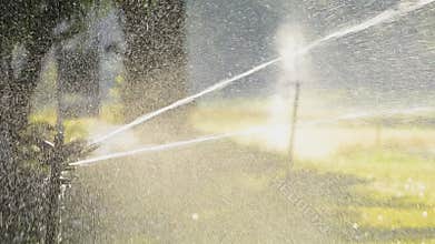 Water springer watering the grass around