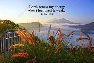 Religious inspirational quote from the bible verse - Lord, renew my energy when i feel tired and weak. Psalm 103:5