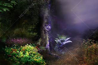 Magical Forest night