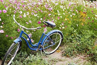 Blue Bicycle Flowers Garden