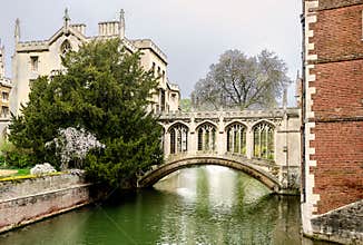 DSC8953 Cambridge Bridge of sighs