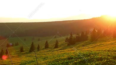 Lush Green Fields & Rolling Meadows in 4K – Stunning Rural Agriculture Landscape