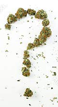 Question Mark Made With Marijuana
