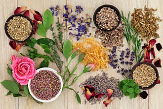 Natural Herbal Medicine
