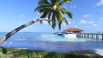 Tropical Paradise at Maldives