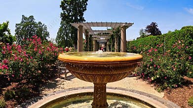 footage of a water fountain with lush green trees and colorful flowers at Huntington Library and Botanical Gardens in San Marino