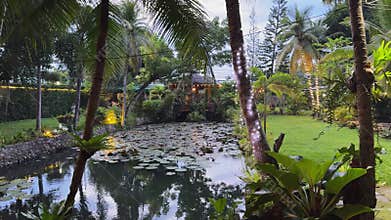Lush tropical garden with pond dotted with water lilies