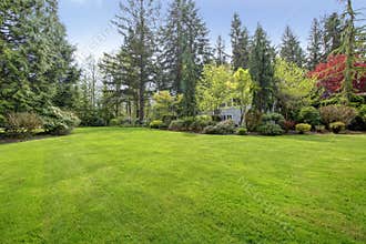 Beautiful farm house backyard