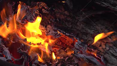 A close-up of a fire burning a log into ashes
