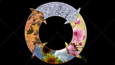 Animated Seasonal Cycle Depicted with four season specific themes