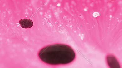 Blur oil droplets paint fluid pink black ink drip