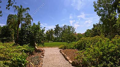 footage on a footpath in a garden with lush green trees and flowers at Huntington Library and Botanical Gardens in San Marino