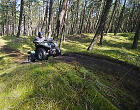 Quad speeding in forest (ATV)