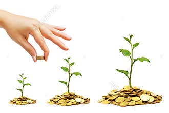 Building ethical business