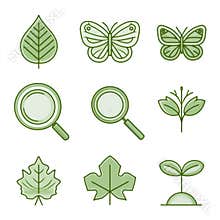 Outline Icons of Biology Items Including Leaf, Butterfly, Magnifying Glass, and Seedling in Thin Green Line Art on White