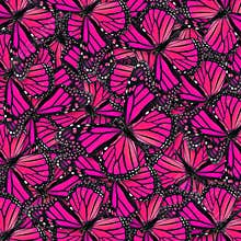 Pink butterfly