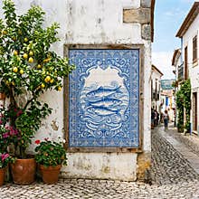 Blue Portuguese Azulejo Tile Mural of Fish on Rustic Wall in Coastal Village Alley