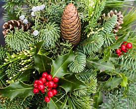 Mixed evergreen arrangement with pine cones and holly