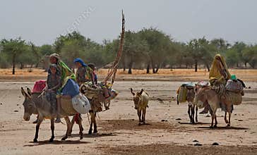 The Great Migration of the Tribe