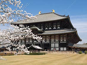 Nara Todaiji temple