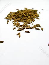 Cumin