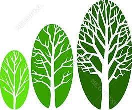 Tree Growth Ovals/eps