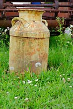 Vintage Milk Jug in Field