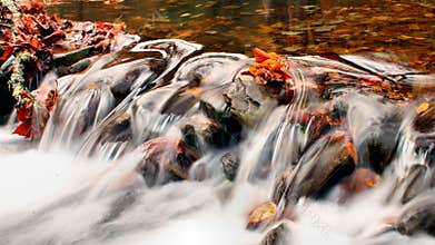 Autumn Waters In The Smoky Mountains