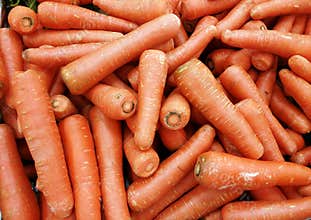 Carrots for sales