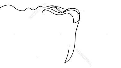 Teeth continuous one line drawing simple minimalist style 4k animation video