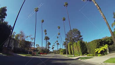 Driving through Beverly Drive in Beverly Hills
