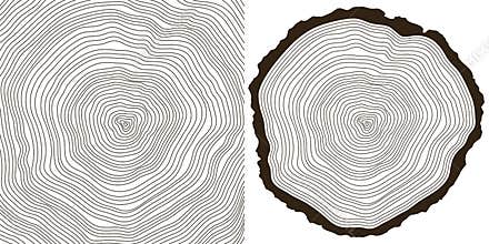 Tree rings
