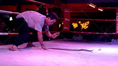 Thailand, Bangkok, snake charmer
