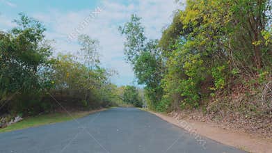 Cinematic POV Drive Through Lush Tropical Forest Road Under Bright Sunny Sky