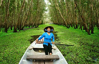 Tra Su indigo forest, Vietnam ecotourism