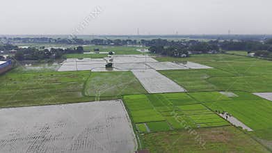 Drone View of Agricultural Work in Rural Bangladesh