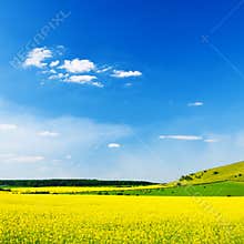 Idyllic Summer Sky and Field Landscape
