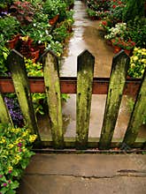 Wooden garden gate & lichen