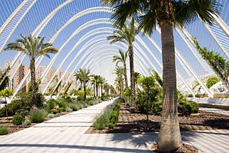 Valencia Science and Art Park