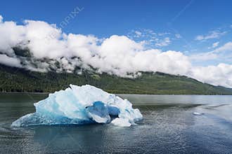Iceberg in Endicott Arm Fjord, Alaska