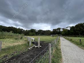 Storm clouds hanging over quiet pasture with fenced gravel path, scattered goats