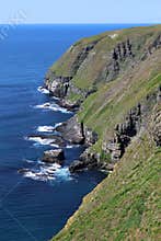 Sea cliffs at Cape Saint Mary's , Newfoundland, Canada