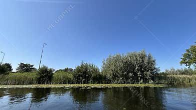 Wide calm river beside dense green reeds, willow trees, and open blue